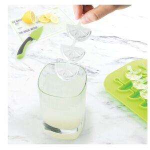 Tovolo Citrus Swizzle Stick Ice Mold